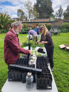 Two people working at a trestle table putting seeds into seedling planter boxes