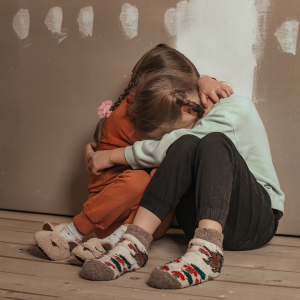 Domestic and family violence--training session