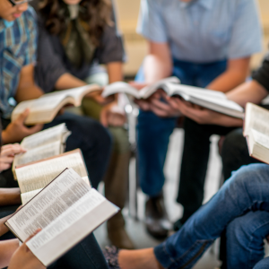Small group leader training