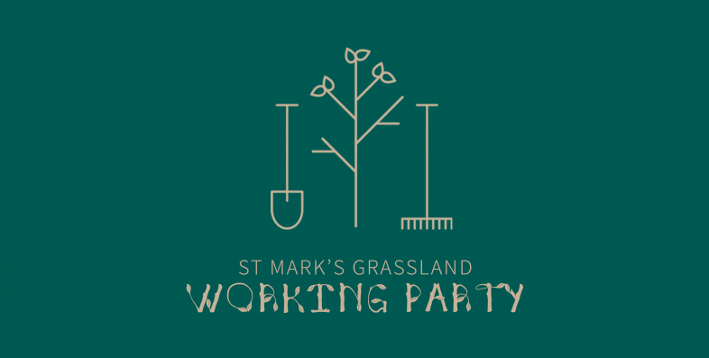 Website-banner-Grassland-Working-Bee